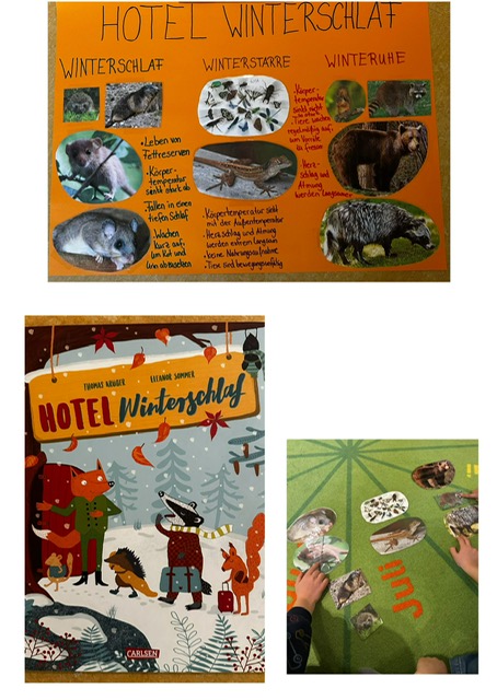 PHOTO 2025 11 24 12 33 21