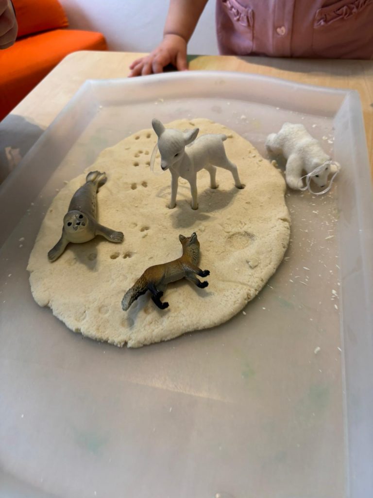 IMG 20260106 WA0031 768x1024