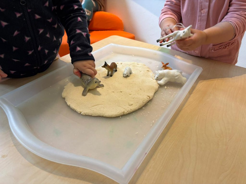 IMG 20260106 WA0046 1024x768