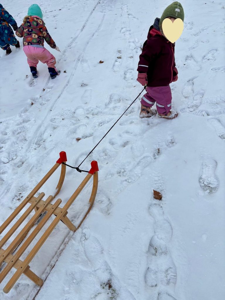 IMG 20260219 WA0037 768x1024