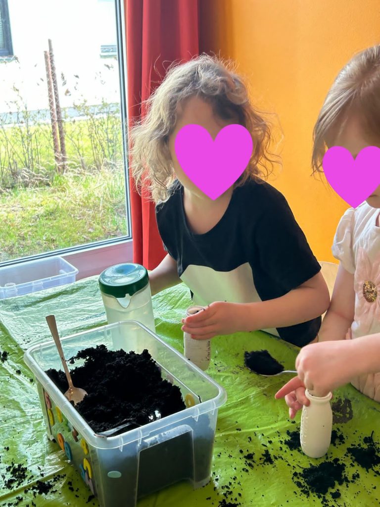 Sonnenblumen pflanzen