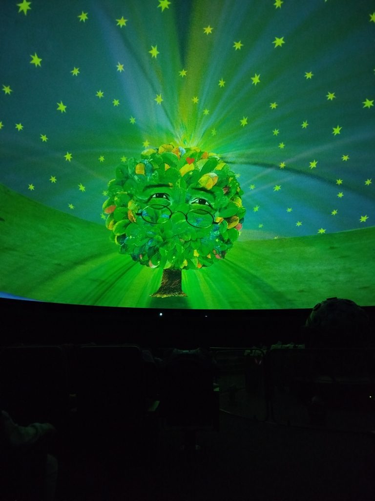 IMG 20260305 093524 768x1024