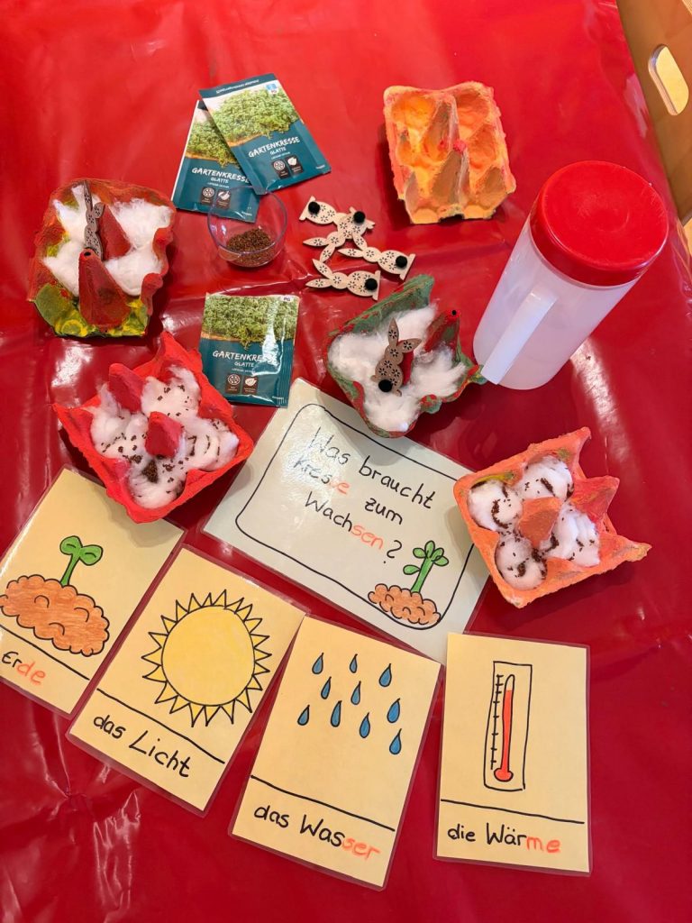 PHOTO 2026 03 04 12 50 183 1 768x1024