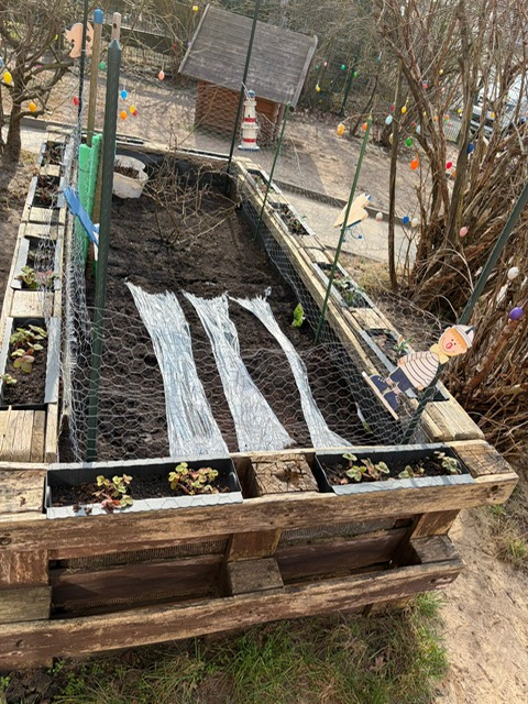 PHOTO 2026 03 10 15 11 27