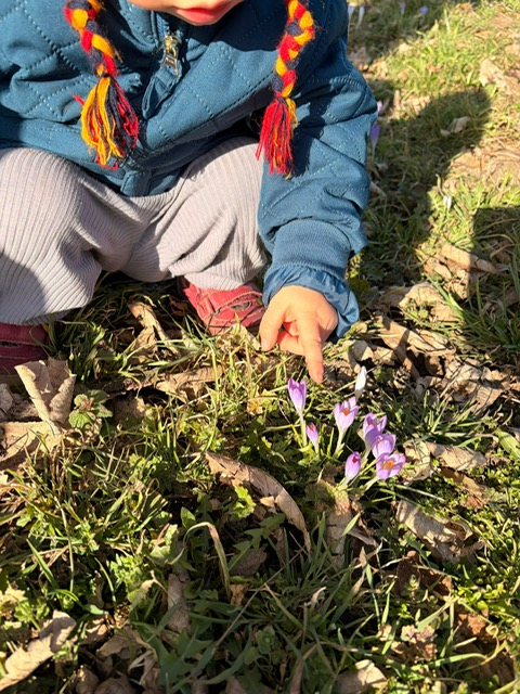 PHOTO 2026 03 12 12 47 171