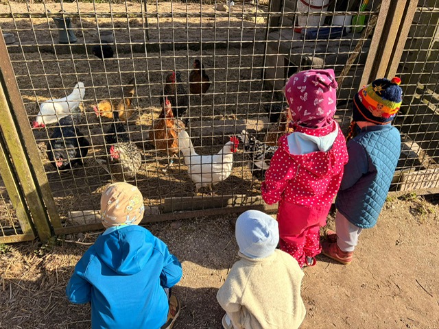 PHOTO 2026 03 12 12 47 172