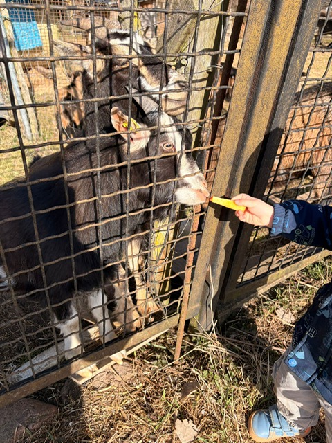 PHOTO 2026 03 12 12 47 178