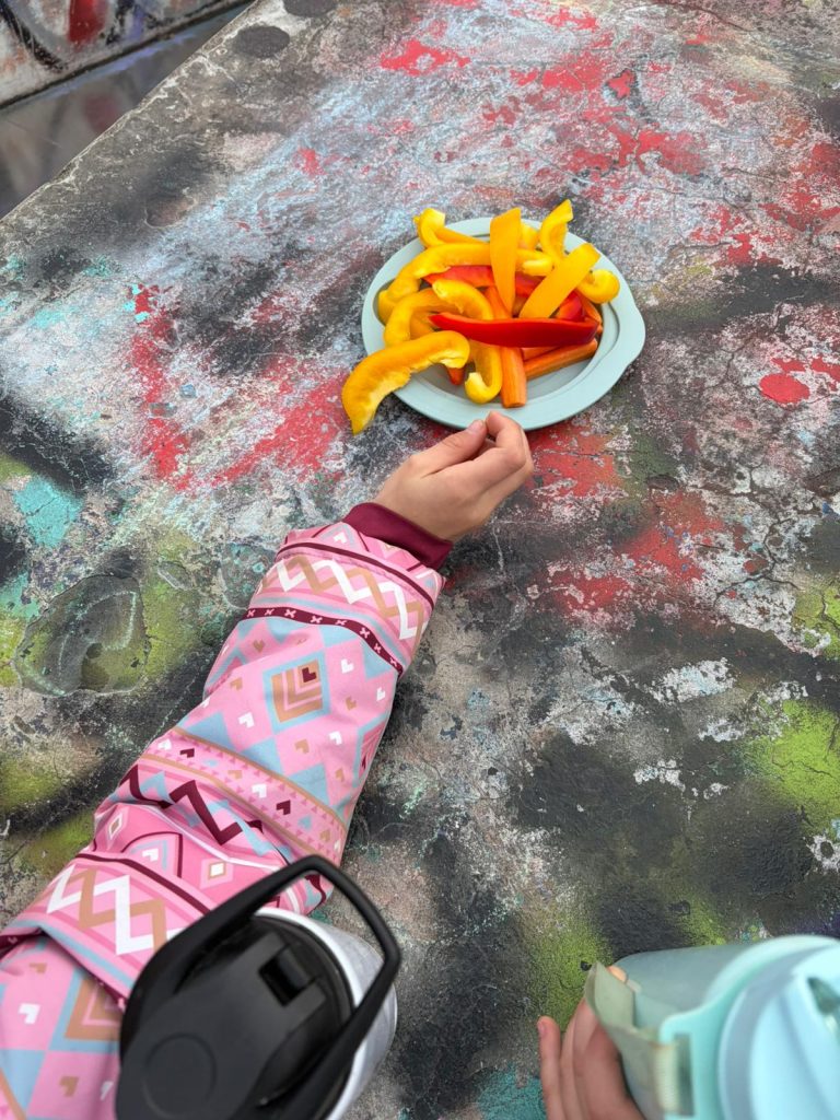 PHOTO 2026 03 24 15 26 06 768x1024