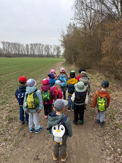 PHOTO 2026 03 24 15 26 07