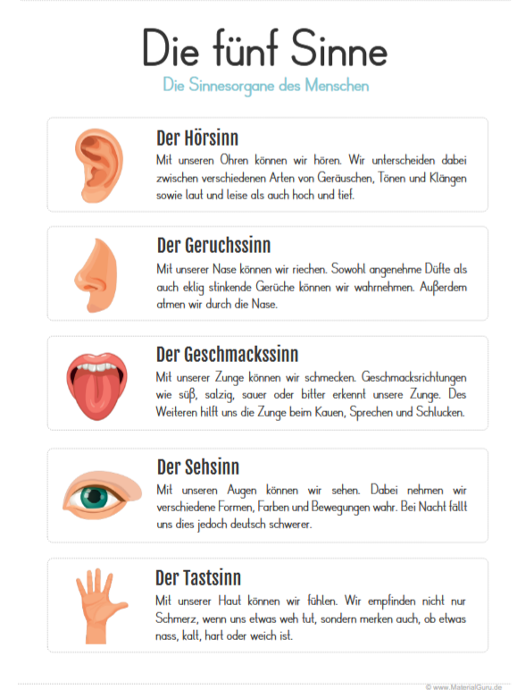 Screenshot 2026 02 02 at 10 34 14 arbeitsblatt sinne erklaerung.pdf