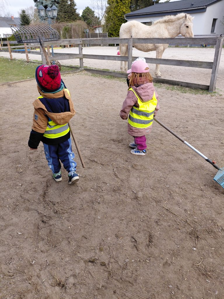 tierische Spurensuche