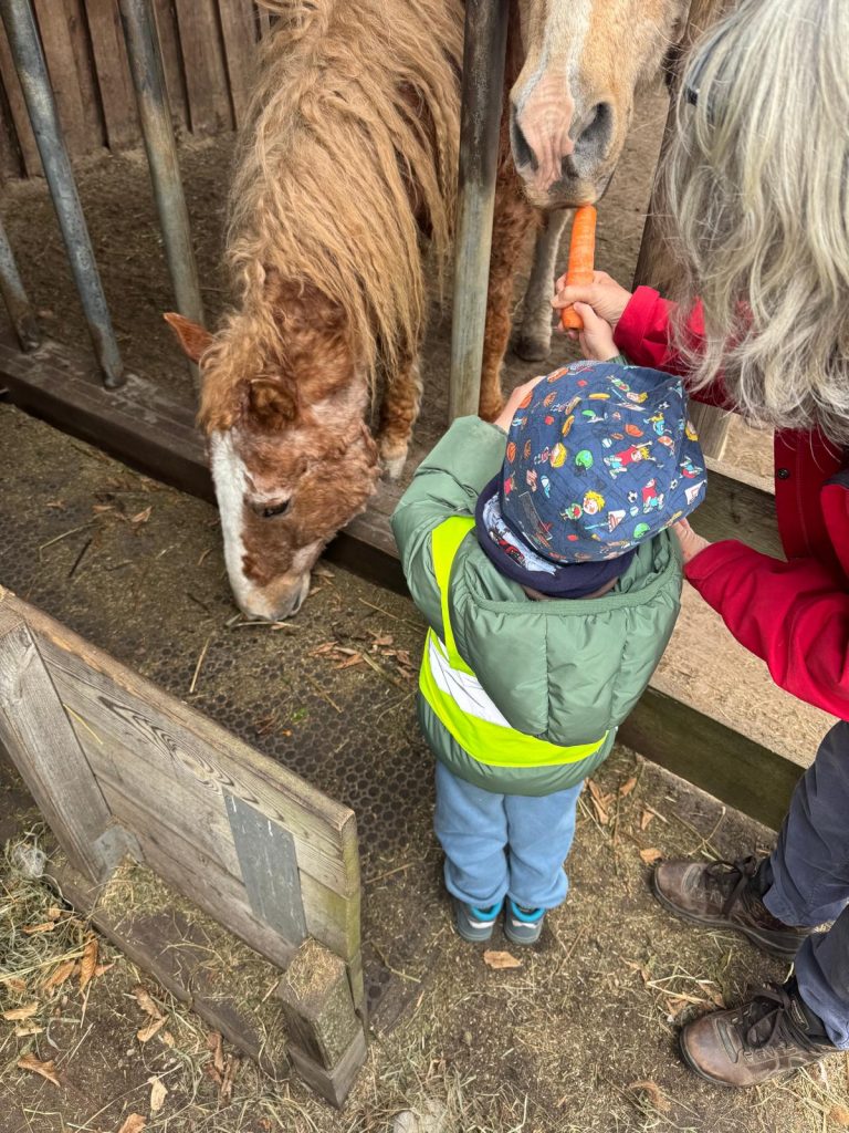 tierische Spurensuche