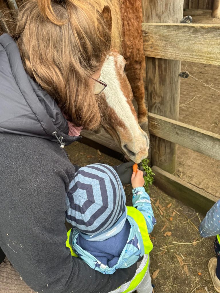 tierische Spurensuche