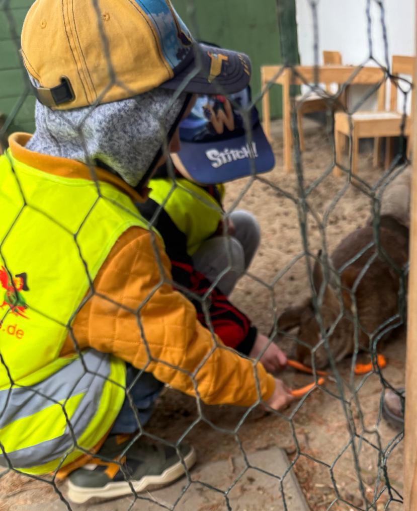 tierische Spurensuche