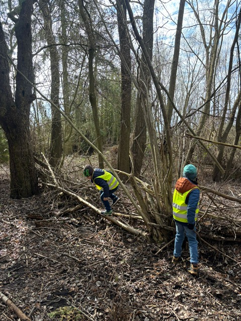 Wunscherf&uuml;llung