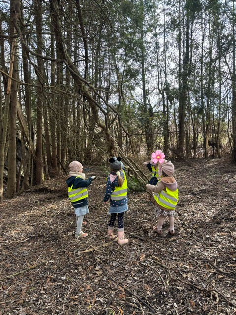 Wunscherf&uuml;llung