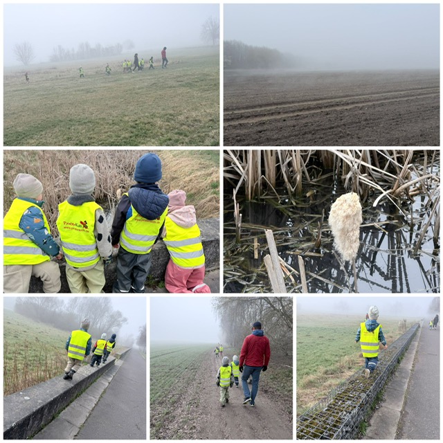 Spaziergang im Nebel