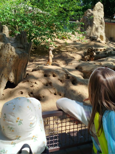 Ausflug in den Zoo