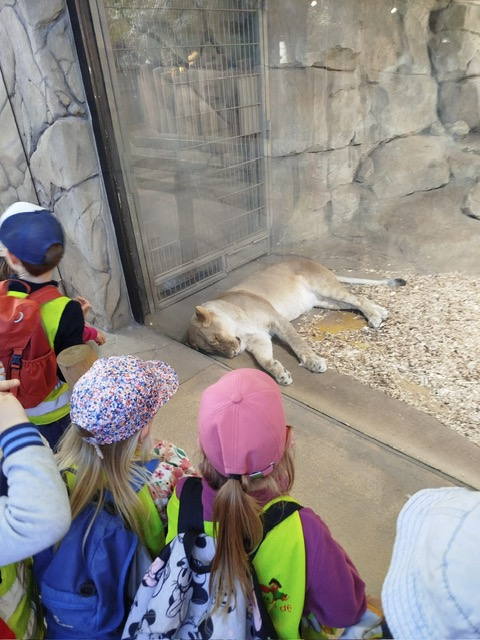Ausflug in den Zoo
