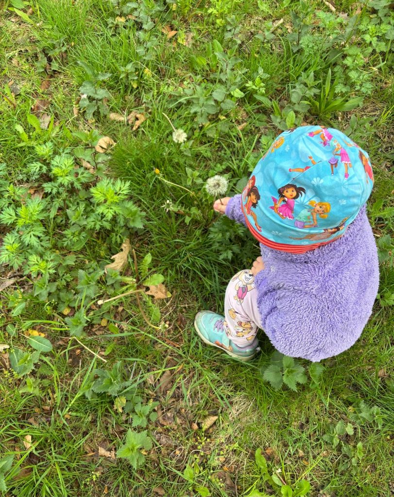 Waldspaziergang