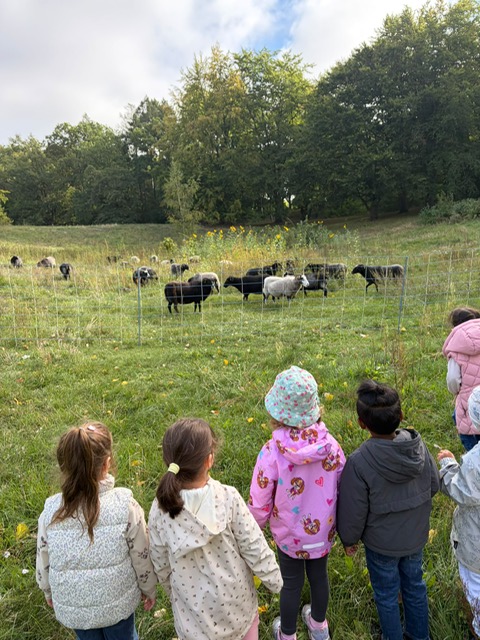 Spaziergang in die Rehberge
