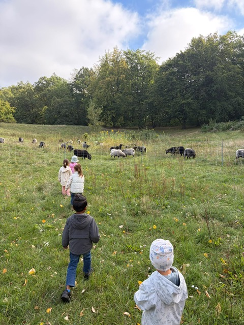 Spaziergang in die Rehberge