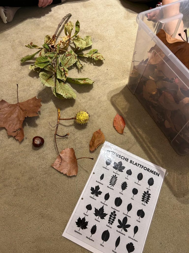 Unser Herbstspaziergang