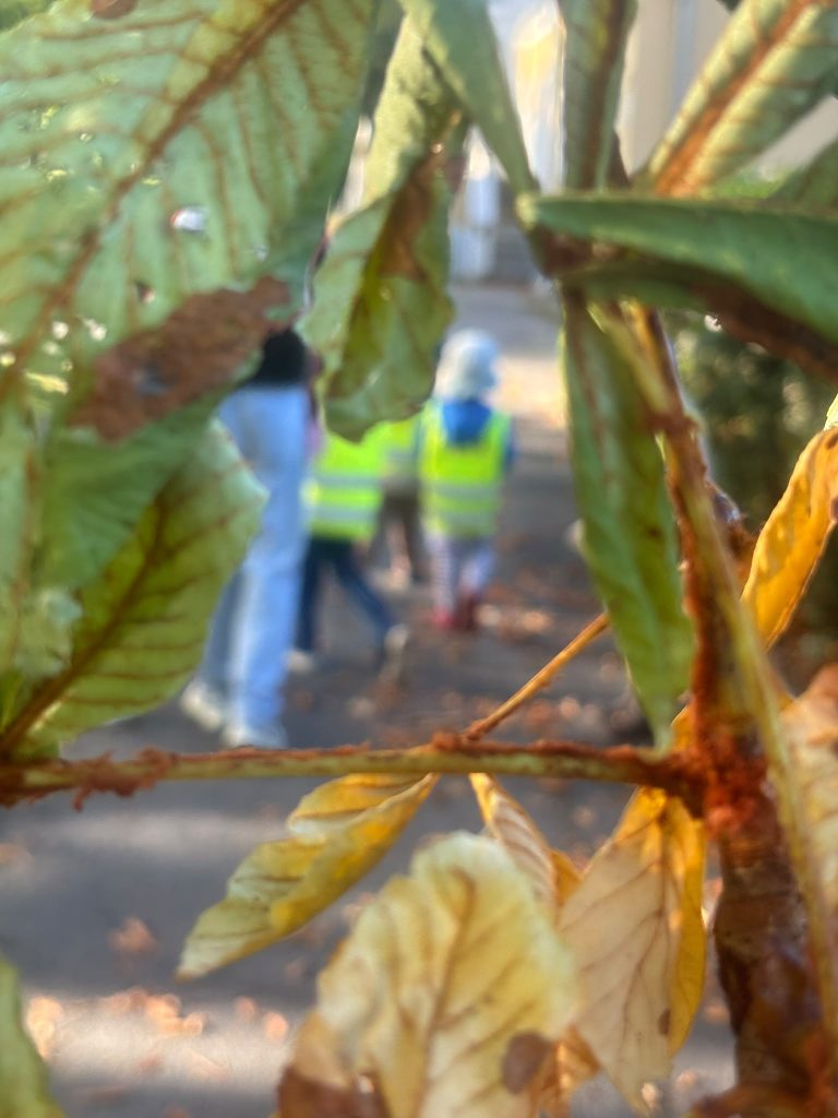 Unser Herbstspaziergang