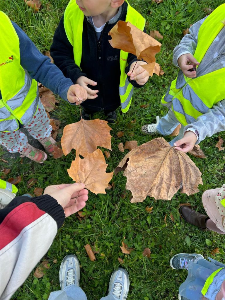 Unser Herbstspaziergang