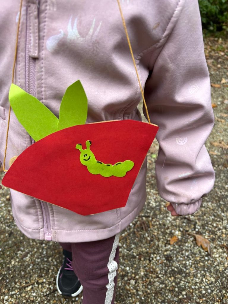 Herbst Angebot im Wald